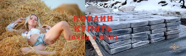 ешки Иннополис