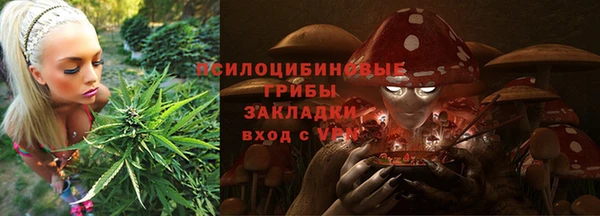 твердый Магас