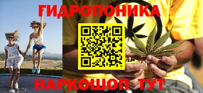 сатива Кингисепп