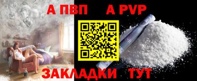 сатива Кингисепп