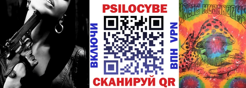 где купить наркоту  Сокол  Галлюциногенные грибы Psilocybe 