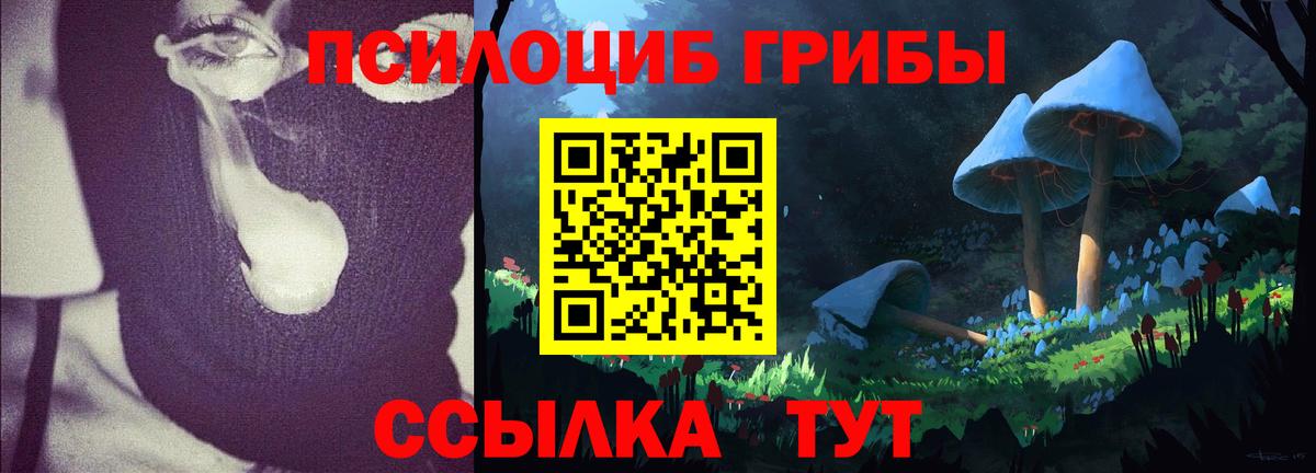 Псилоцибиновые грибы ЛСД Сокол