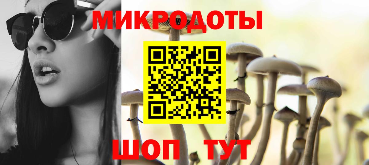Сокол  Псилоцибиновые грибы GOLDEN TEACHER  Вход с VPN 